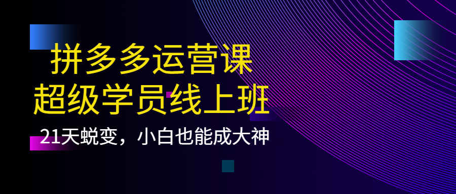 拼多多运营课：超级学员线上班，21天蜕变，小白也能成大神-云创网