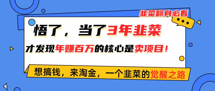 悟了，当了3年韭菜，才发现网赚圈年赚100万的核心是卖项目，含泪分享！-云创网