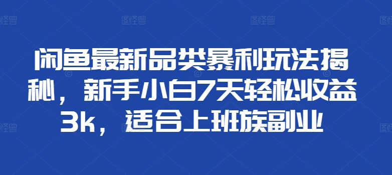 闲鱼最新品类暴利玩法揭秘，新手小白7天轻松赚3000+，适合上班族副业-云创网