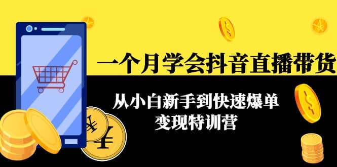 一个月学会抖音直播带货：从小白新手到快速爆单变现特训营(63节课)-云创网