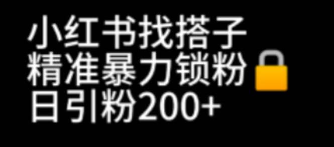 小红书找搭子暴力精准锁粉+引流日引200+精准粉-云创网