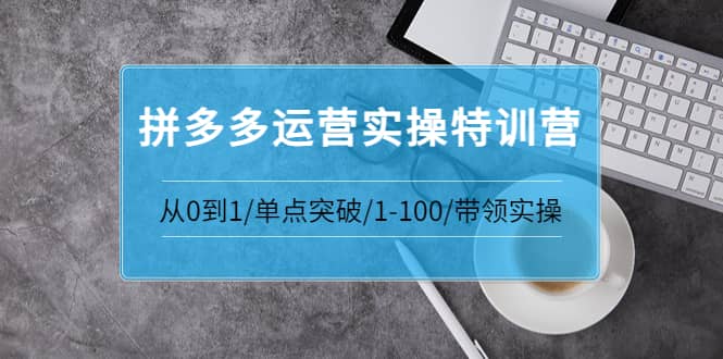 拼多多运营实操特训营：从0到1/单点突破/1-100/带领实操 价值2980元-云创网
