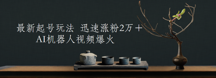 最新起号玩法，AI机器人视频爆火，迅速涨粉2万＋-云创网