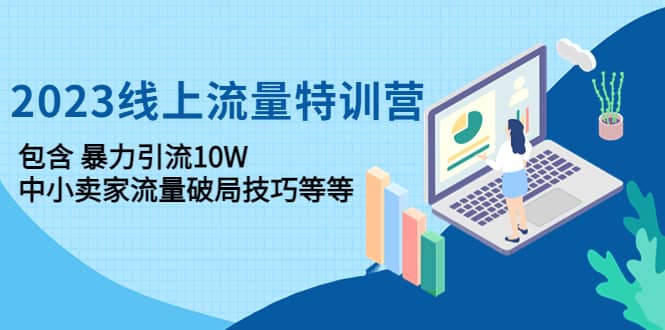 2023线上流量特训营：中小卖家流量破局技巧等等-云创网