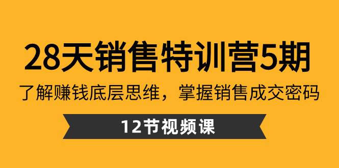 28天·销售特训营5期：了解赚钱底层思维，掌握销售成交密码（12节课）-云创网