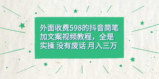 外面收费598抖音简笔加文案教程，全是实操 没有废话 月入三万（教程+资料）-云创网