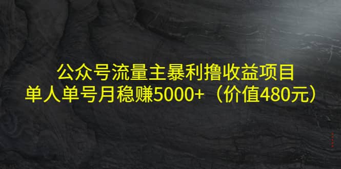 公众号流量主暴利撸收益项目，单人单号月稳赚5000+（价值480元）-云创网