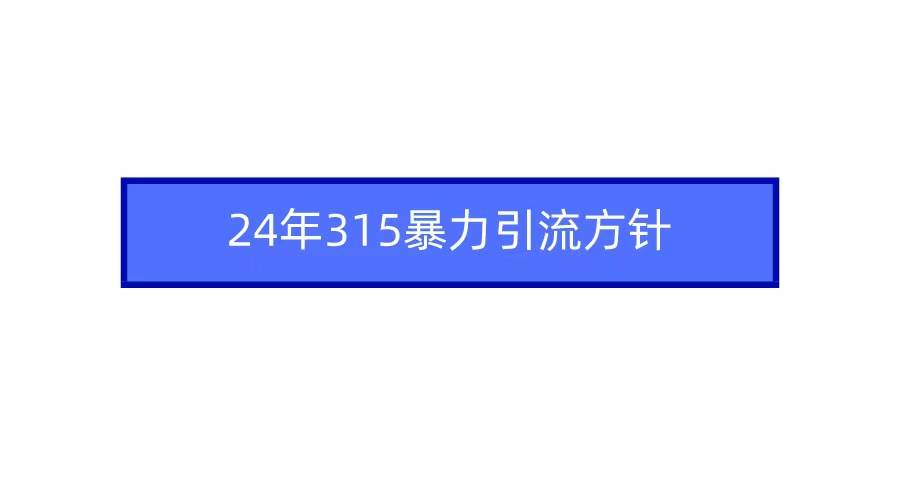 2024年315暴力引流方针-云创网