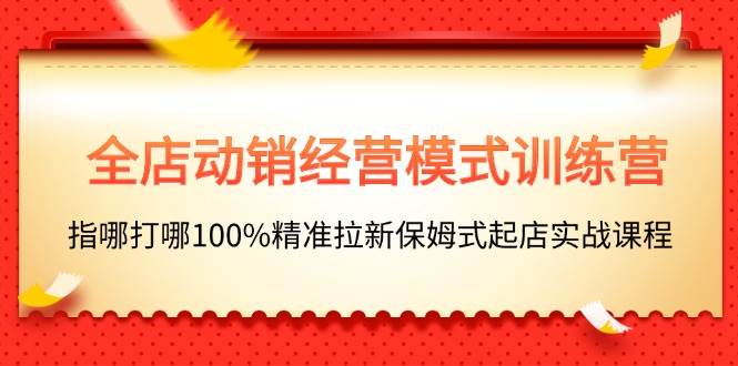 全店动销-经营模式训练营，指哪打哪100%精准拉新保姆式起店实战课程-云创网