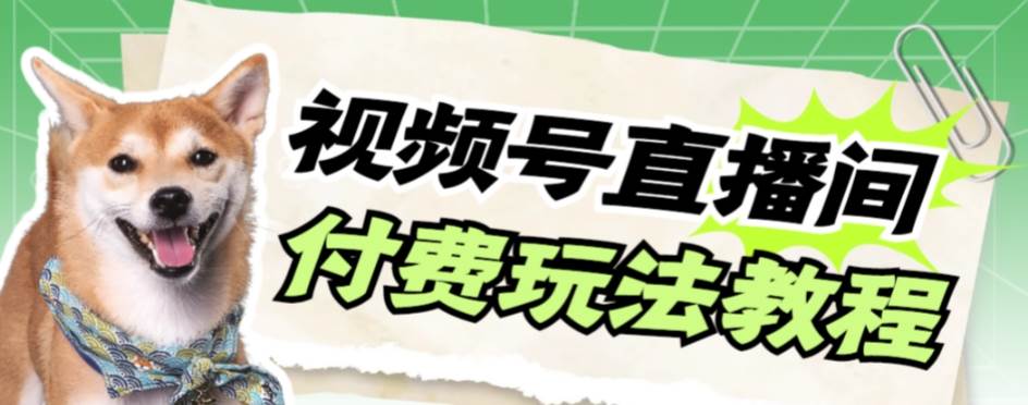 视频号美女付费无人直播，轻松日入500+【详细玩-云创网