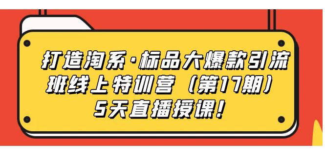 打造淘系·标品大爆款引流班线上特训营5天直播授课！-云创网