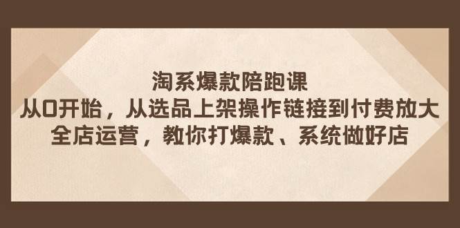 淘系爆款陪跑课 从选品上架操作链接到付费放大 全店运营 打爆款 系统做好店-云创网
