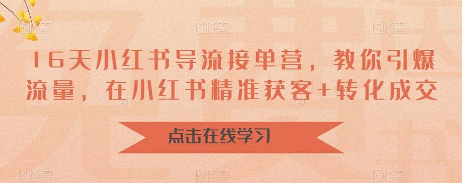 16天-小红书 导流接单营，教你引爆流量，在小红书精准获客+转化成交-云创网