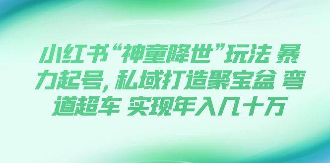 小红书“神童降世”玩法 暴力起号,私域打造聚宝盆 弯道超车 实现年入几十万-云创网