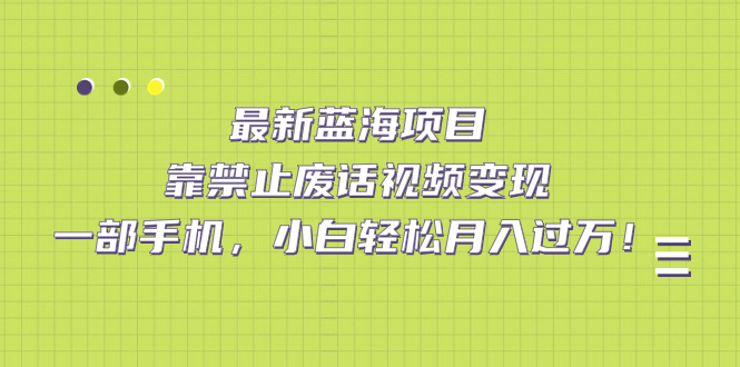 最新蓝海项目，靠禁止废话视频变现，一部手机，小白轻松月入过万！-云创网