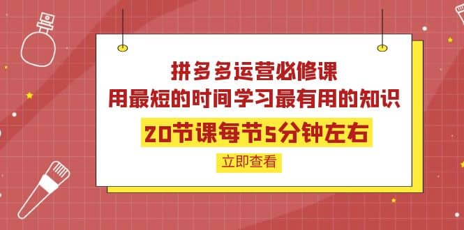 拼多多运营必修课：20节课每节5分钟左右，用最短的时间学习最有用的知识-云创网