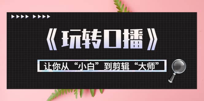 月营业额700万+大佬教您《玩转口播》让你从“小白”到剪辑“大师”-云创网