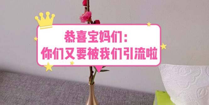 恭喜宝妈们：你们又要被我们引流了（教程+222g资料）-云创网