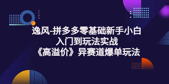 拼多多零基础新手小白入门到玩法实战《高溢价》异赛道爆单玩法实操课-云创网