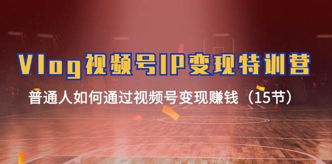 Vlog 视频号IP变现特训营，普通人如何通过视频号变现赚钱（15节）-云创网
