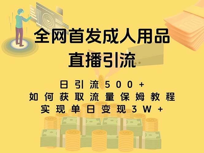 最新全网独创首发，成人用品直播引流获客暴力玩法，单日变现3w保姆级教程-云创网