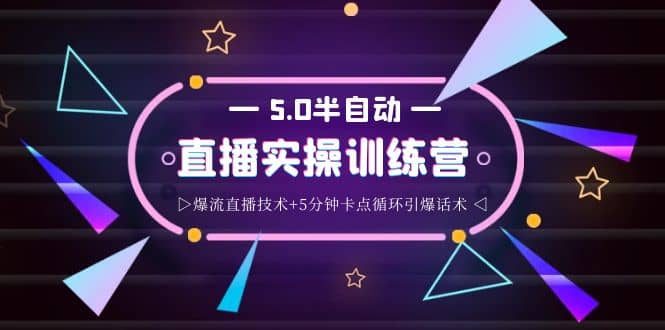 蚂蚁·5.0半自动直播2345打法，半自动爆流直播技术+5分钟卡点循环引爆话术-云创网