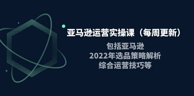 亚马逊运营实操课（每周更新）包括亚马逊2022选品策略解析，综合运营技巧等-云创网