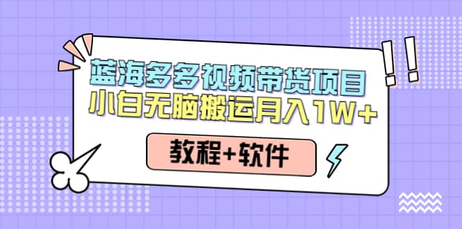 人人都能操作的蓝海多多视频带货项目 小白无脑搬运（教程+软件）-云创网