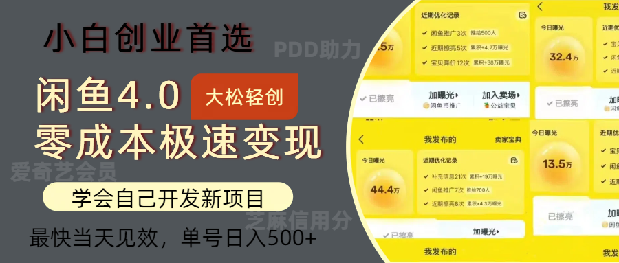 闲鱼0成本极速变现项目，多种变现方式，单号日入500+最新玩法-云创网