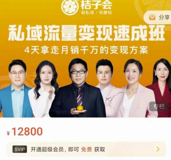 桔子会·私域流量变现速成班，4天拿走月销千万的变现方案 价值12800元-云创网