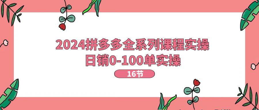 2024拼多多全系列课程实操，日销0-100单实操【16节课】-云创网