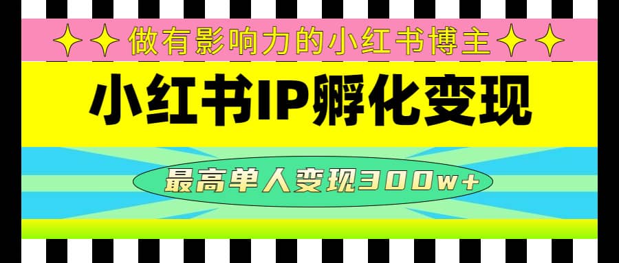 某收费培训-小红书IP孵化变现：做有影响力的小红书博主-云创网