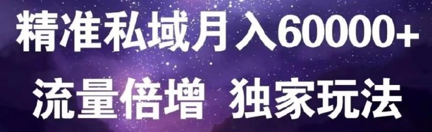 原力网赚精准私域月入60000+,流量倍增独家玩法-云创网