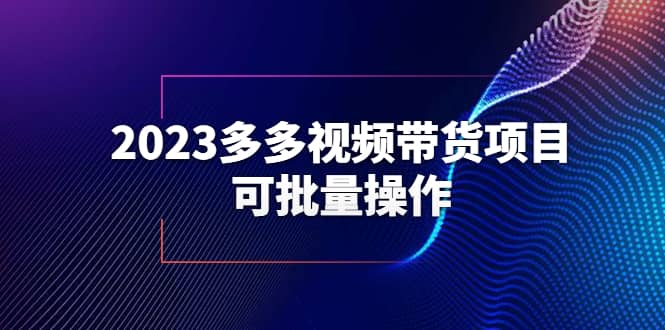 2023多多视频带货项目，可批量操作【保姆级教学】-云创网