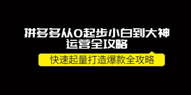 拼多多从0起步小白到大神运营全攻略-云创网