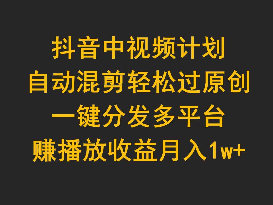 抖音中视频计划，自动混剪轻松过原创，一键分发多平台赚播放收益，月入1w+-云创网