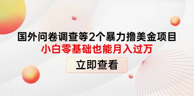 国外问卷调查等2个暴力撸美元项目，小白零基础也能月入过万-云创网