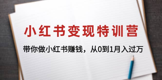 小红书变现特训营：带你做小红书项目-云创网
