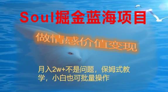 Soul掘金蓝海项目细分赛道，做情感价值变现，月入2w+不是问题-云创网