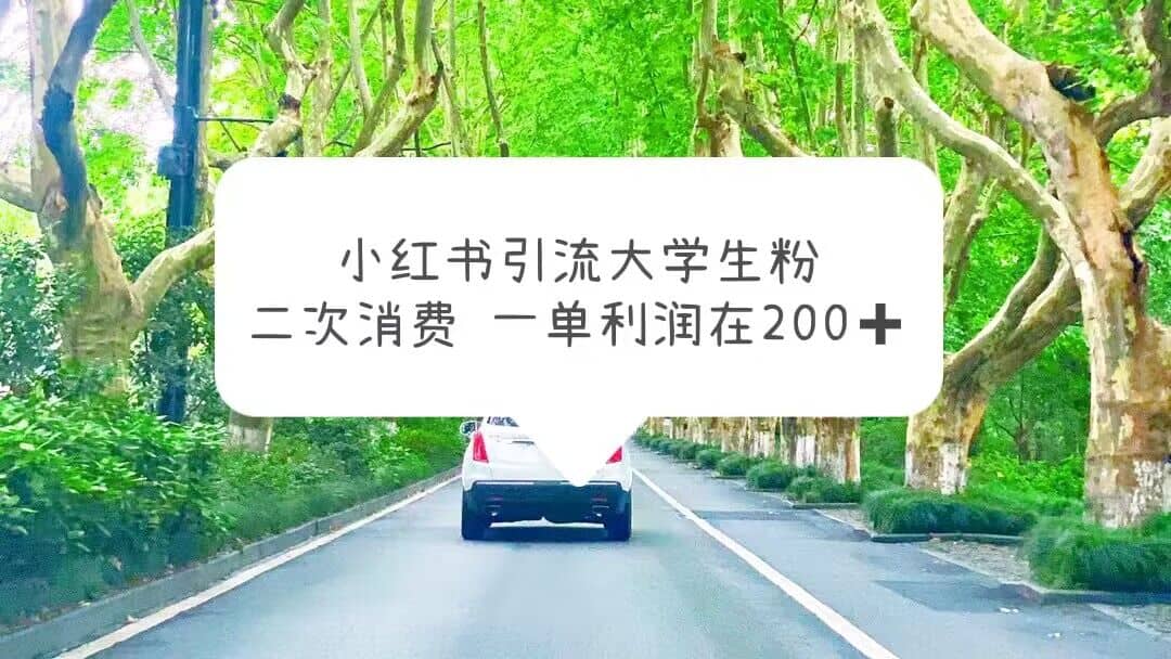 小红书引流大学生粉，变现项目，一单利润在200+（教程+资源）-云创网