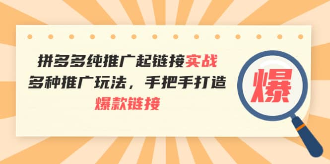 拼多多纯推广起链接实战：多种推广玩法，手把手打造爆款链接-云创网