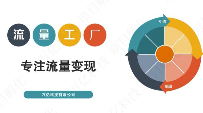 收费3980的流量工厂回粉项目，号称1个粉10元【详细玩法教程解析】-云创网