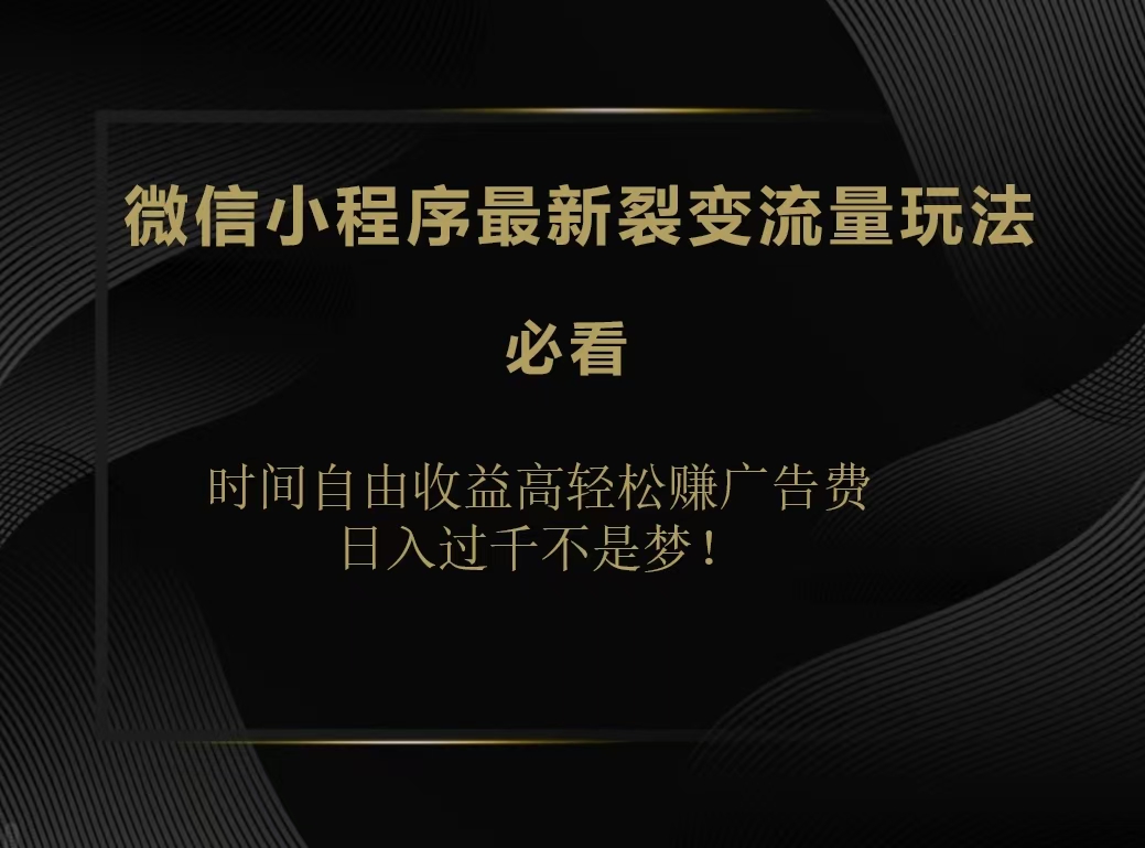 微信小程序最新裂变流量玩法，时间自由收益高轻松赚广告费，日入200-500+-云创网