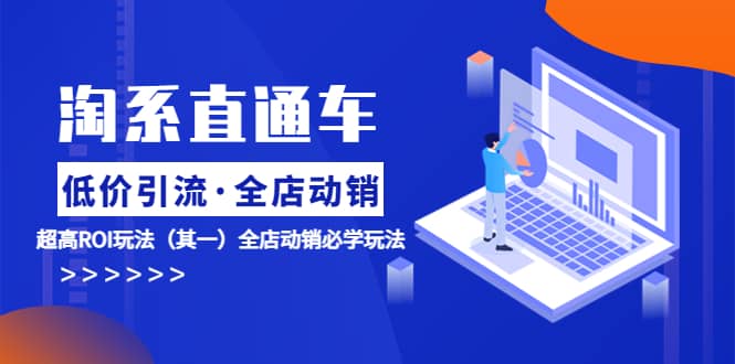 淘系直通车《低价·引流 全店·动销》超高ROI玩法（其一）全店动销必学玩法-云创网