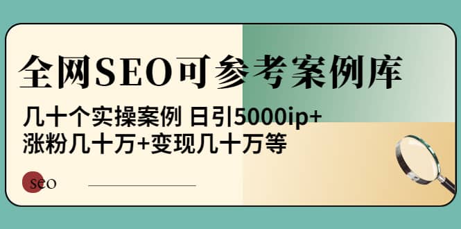 《全网SEO可参考案例库》几十个实操案例-云创网