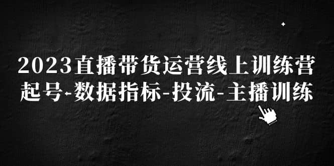 2023直播带货运营线上训练营，起号-数据指标-投流-主播训练-云创网