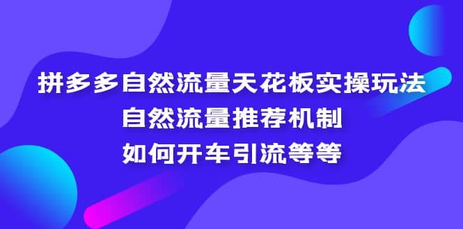 拼多多自然流量天花板实操玩法：自然流量推荐机制，如何开车引流等等-云创网