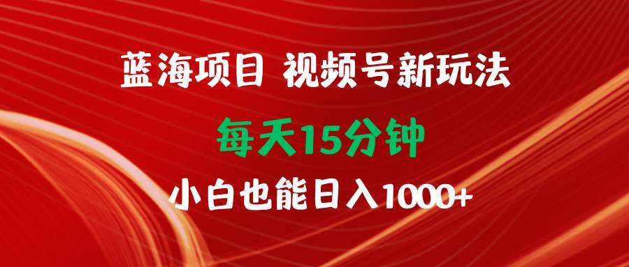 蓝海项目视频号新玩法 每天15分钟 小白也能日入1000+-云创网