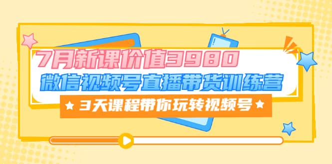 微信视频号直播带货训练营，3天课程带你玩转视频号：7月新课价值3980-云创网