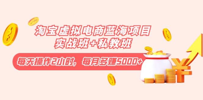 淘宝虚拟电商蓝海项目实战班+私教班-云创网